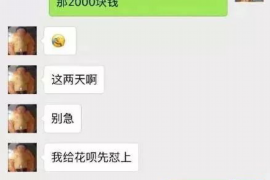 昌吉融资清欠服务